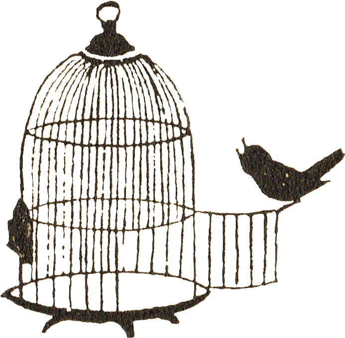 Bird Escaping Cage Illustration PNG Image