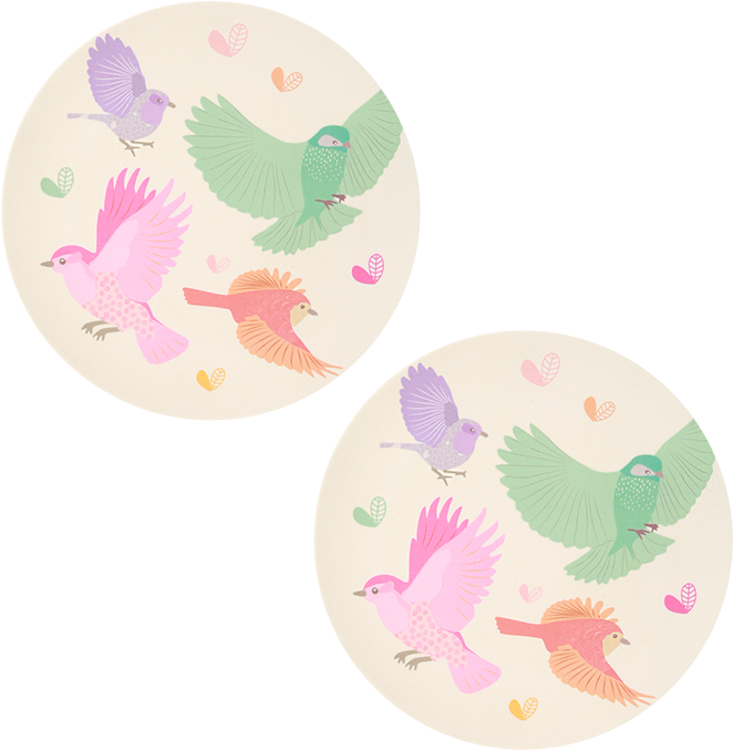 Bird Illustrated Paper Plates PNG Image