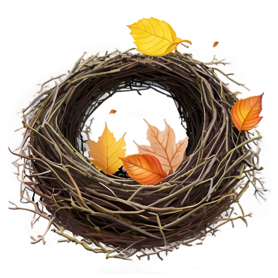 Bird Nest In Autumn Png 06212024 PNG Image
