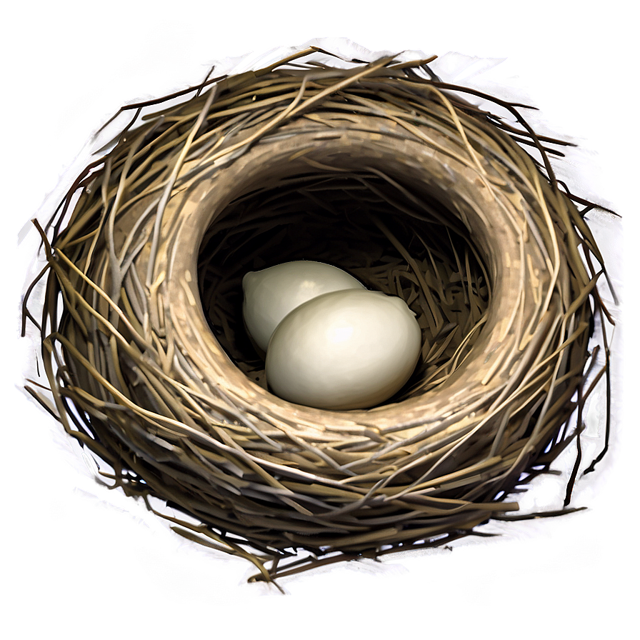 Bird Nest In Nesting Box Png 4 PNG Image