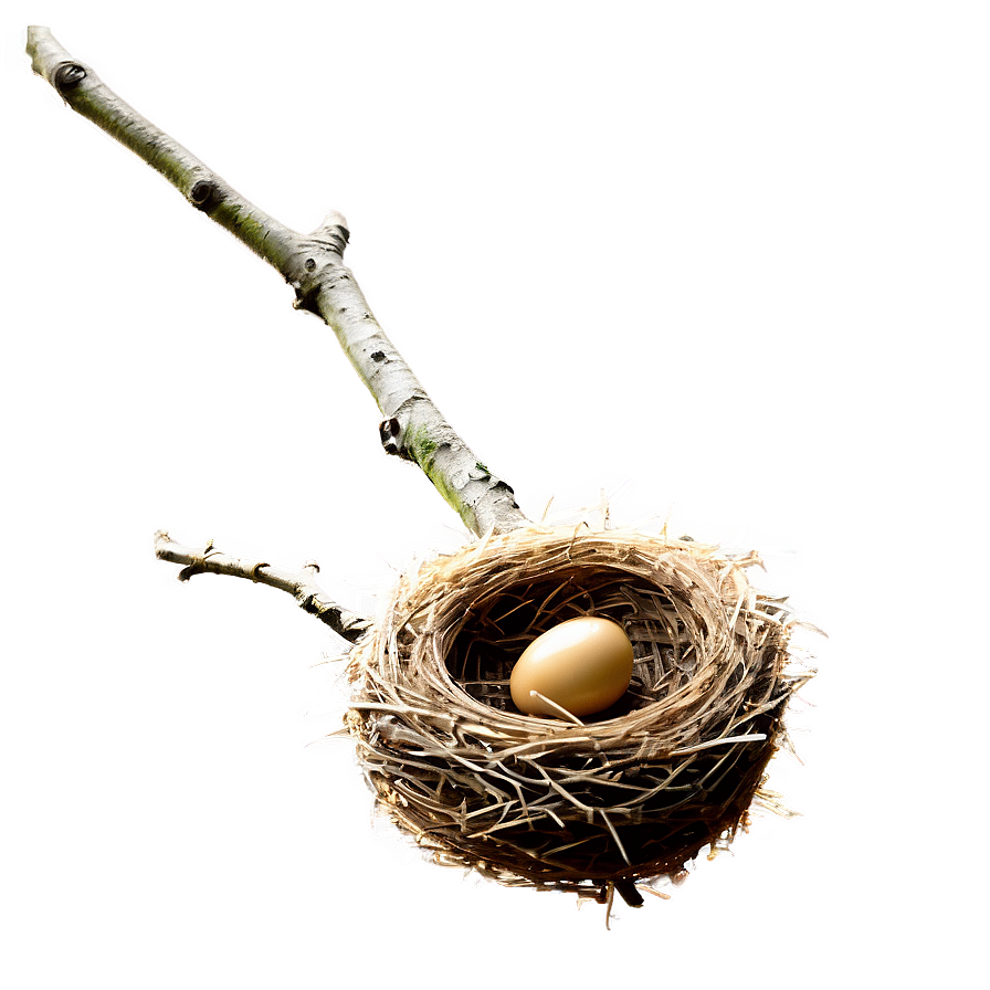 Bird Nest On Branch Png Kqu64 PNG Image