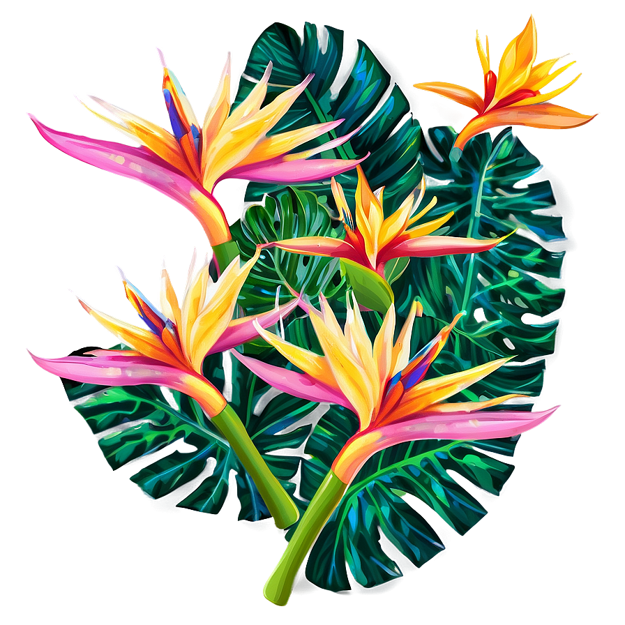 Bird Of Paradise Apparel Print Png Rwi46 PNG Image