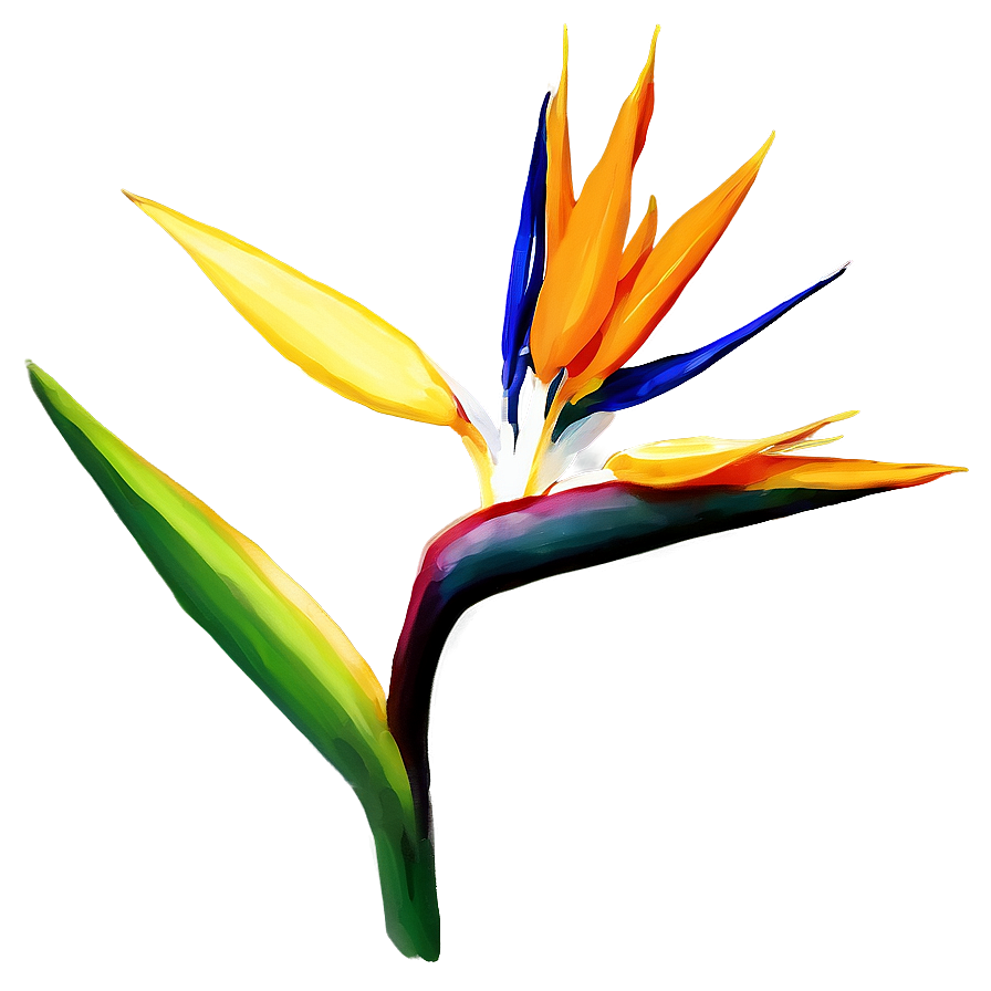 Bird Of Paradise Botanical Print Png Xqu97 PNG Image