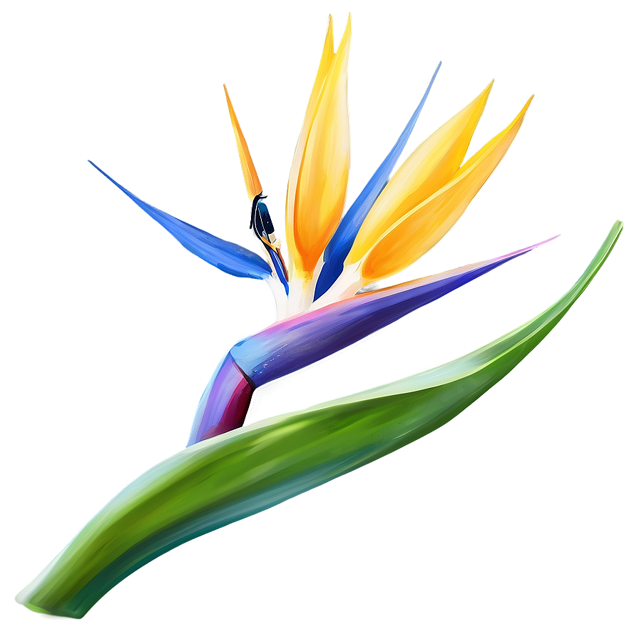 Bird Of Paradise Flower Png Ifu37 PNG Image