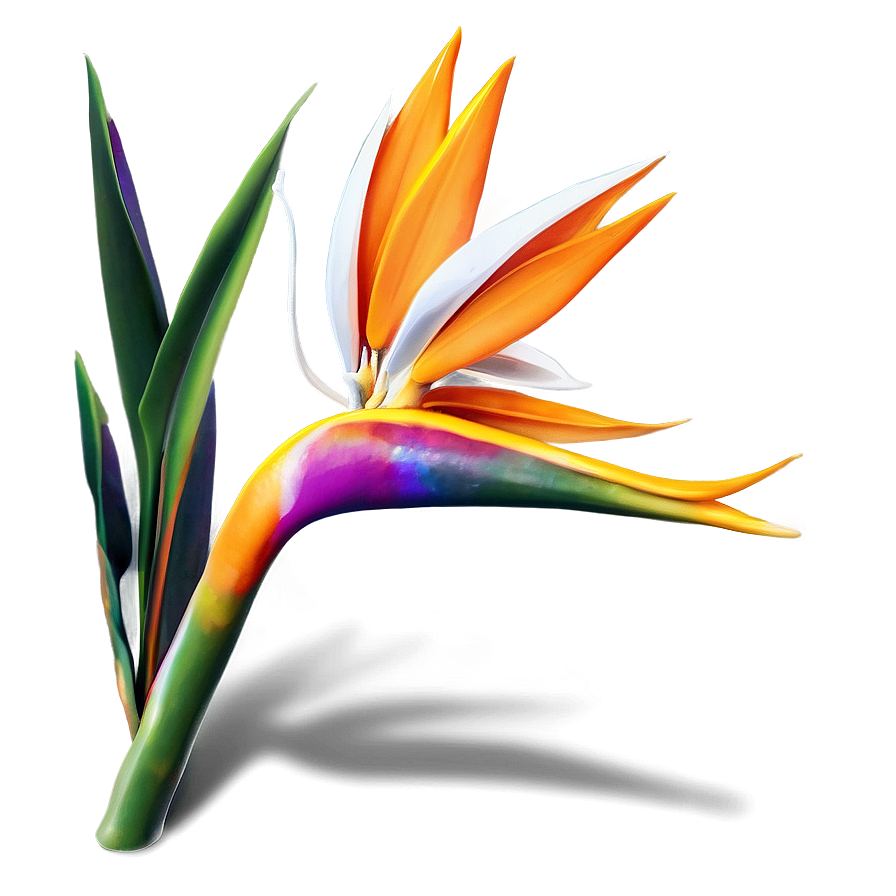 Bird Of Paradise Holiday Decoration Png 06212024 PNG Image