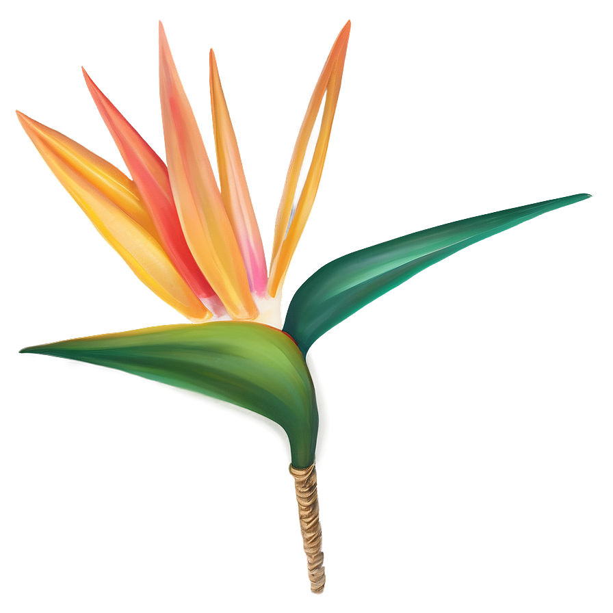 Bird Of Paradise Holiday Decoration Png Qvo PNG Image