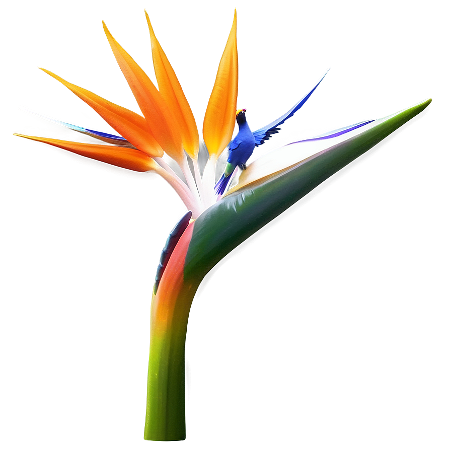 Bird Of Paradise Mural Png Uyn42 PNG Image