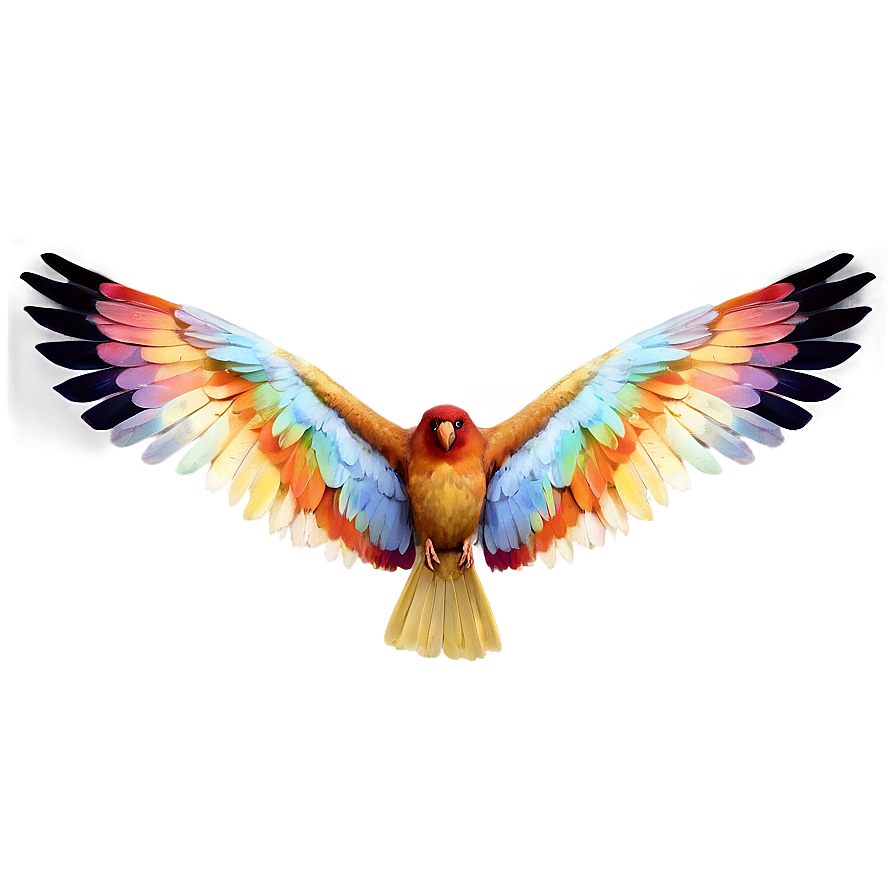 Bird Wings Spread Png Ian PNG Image