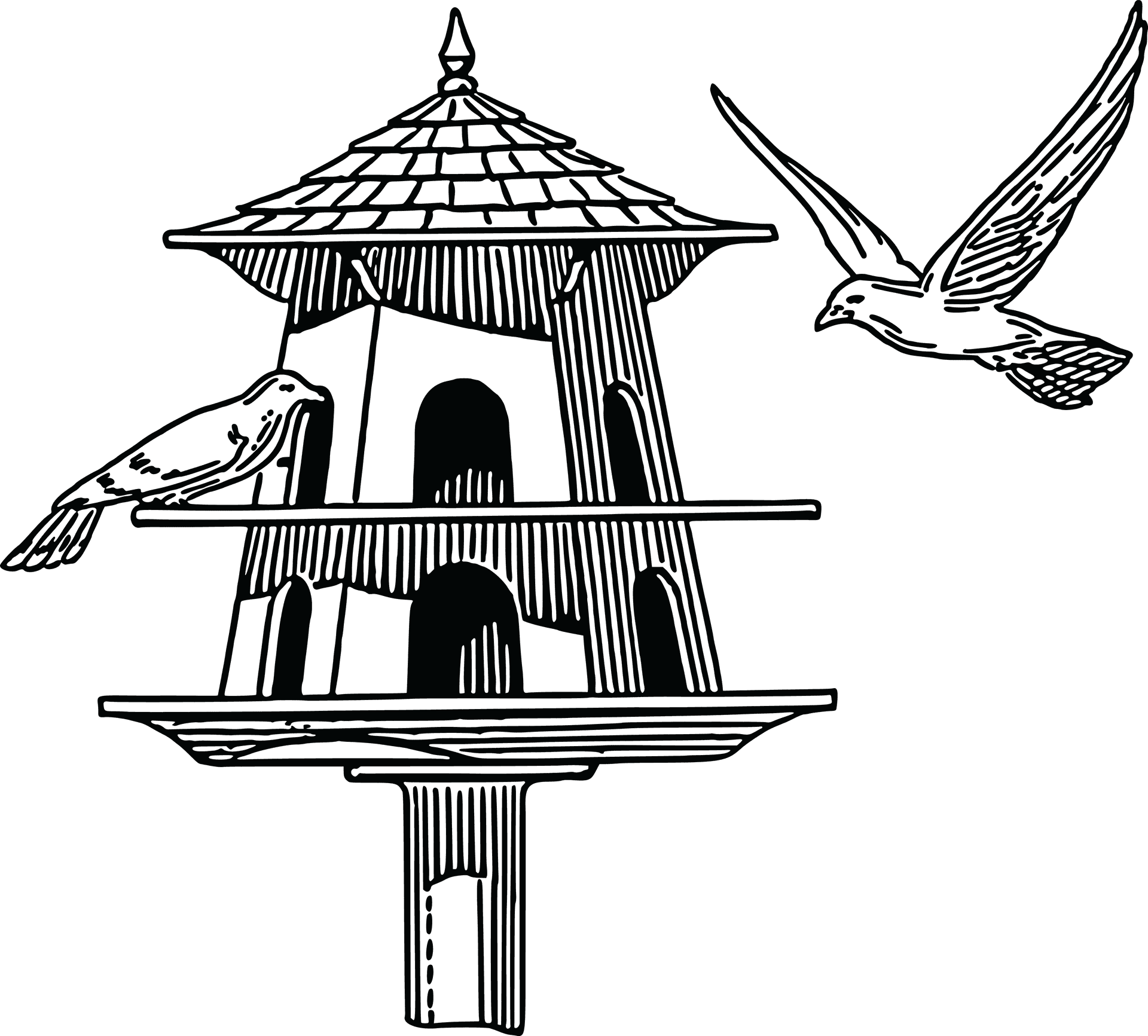 Birdhouseand Flying Bird PNG Image