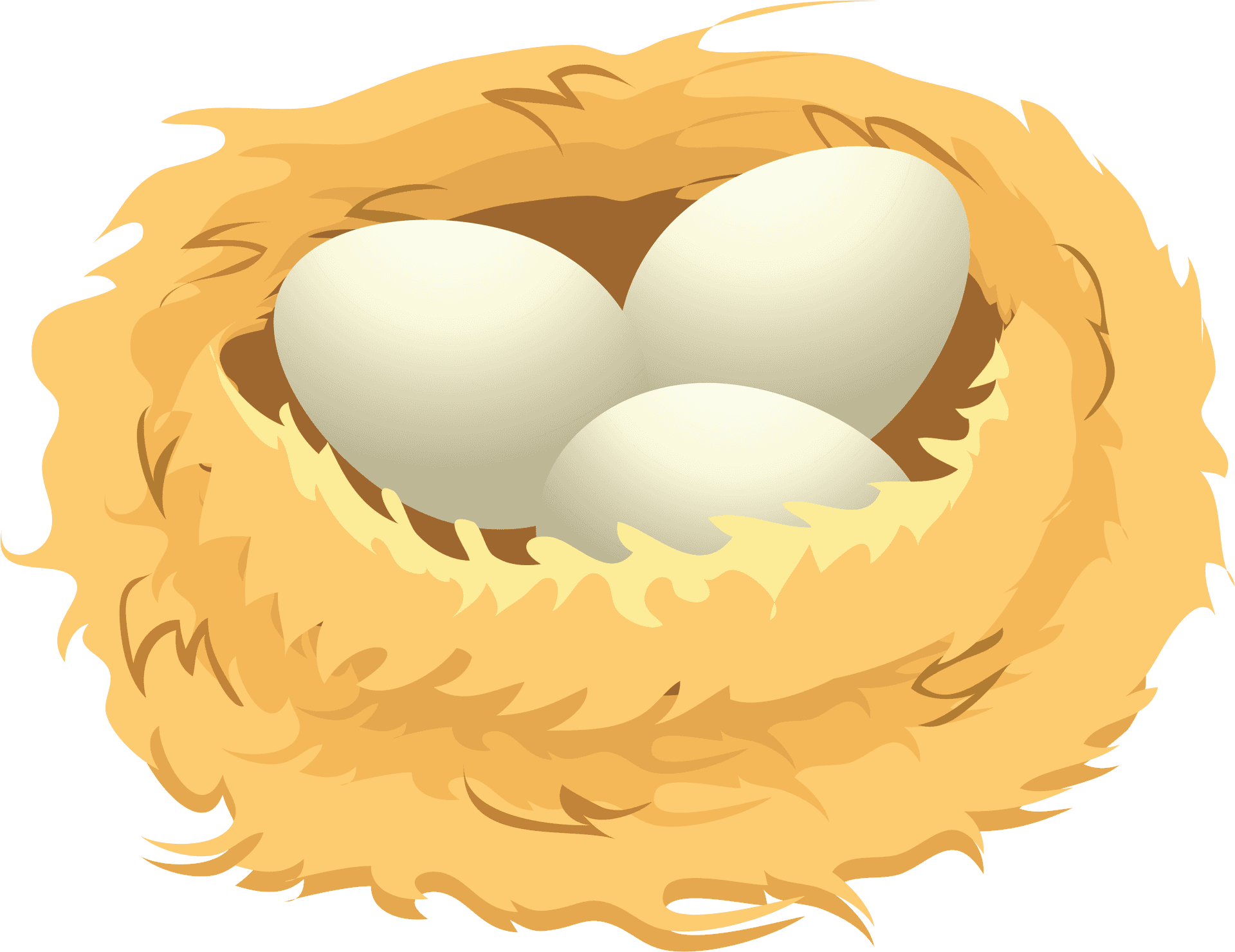 Birds Eggsin Nest Illustration PNG Image