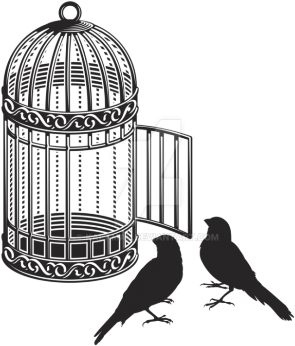 Birdsand Open Cage Illustration PNG Image