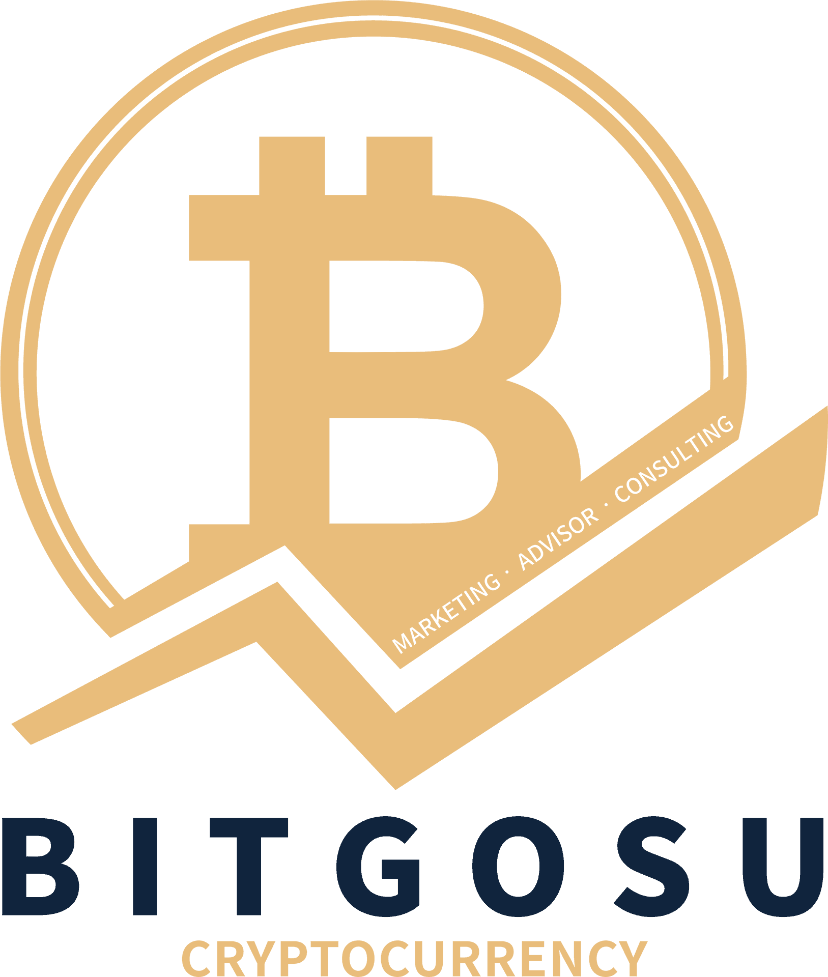 Bitcoin Consulting Logo PNG Image