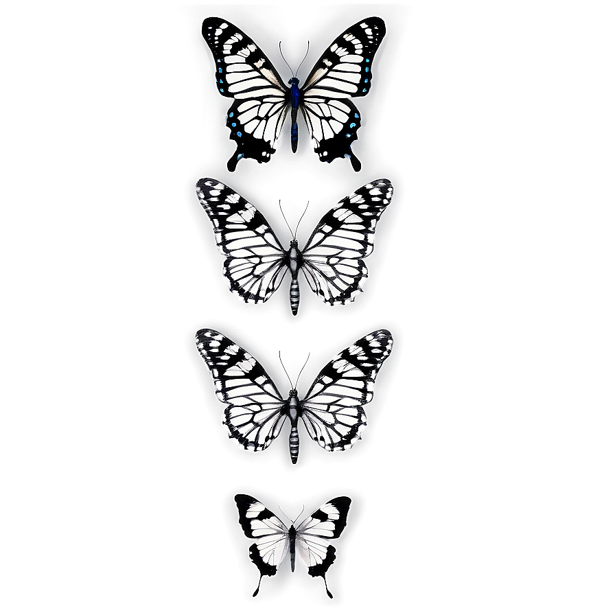 Black And White Butterfly Png Ufb49 PNG Image