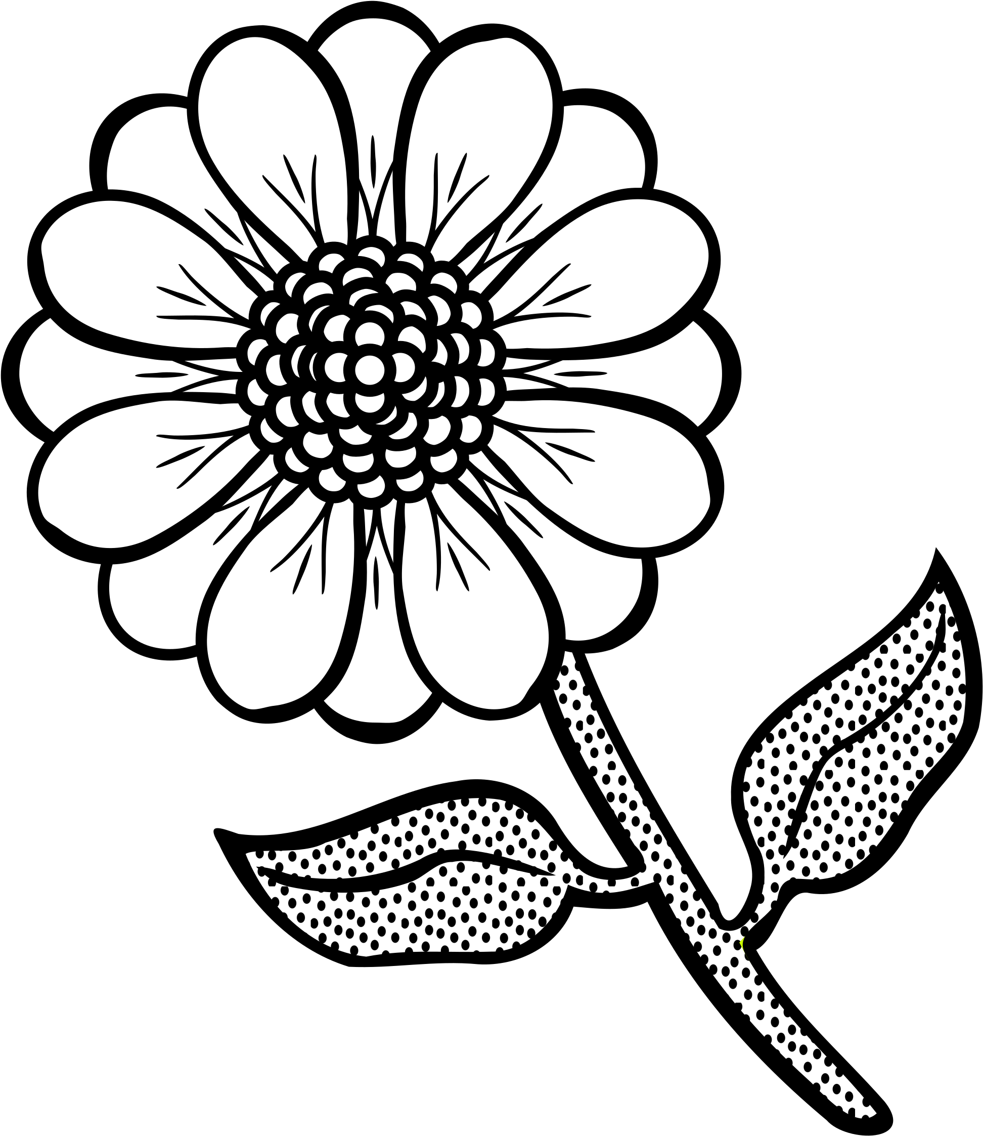 Black And White Floral Illustration PNG Image