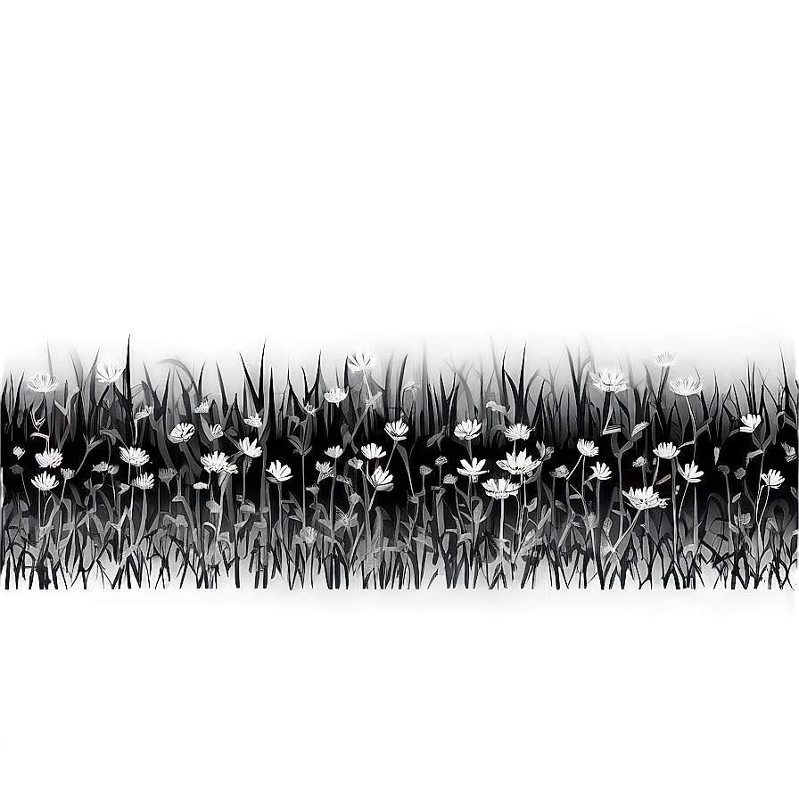 Black And White Flower Field Png Ltw88 PNG Image