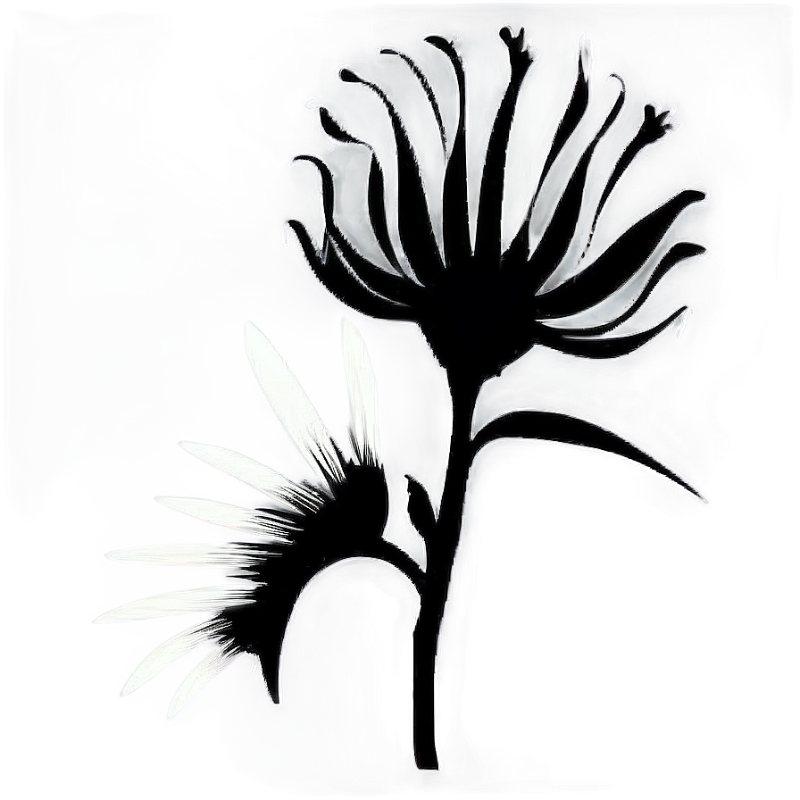 Black And White Flower Silhouette Png Tya96 PNG Image