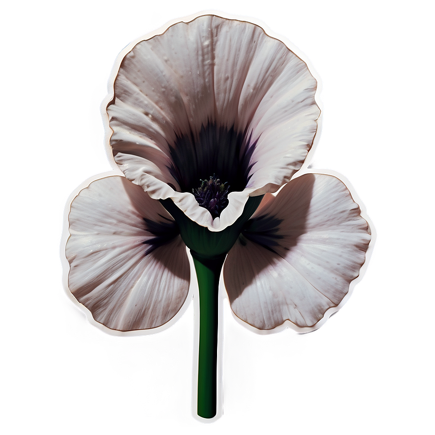 Black And White Flower Sticker Png Whp PNG Image