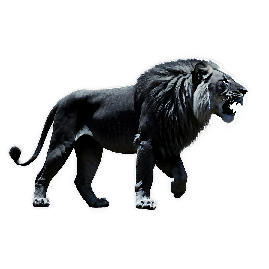 Black And White Lion Png Qer77 PNG Image