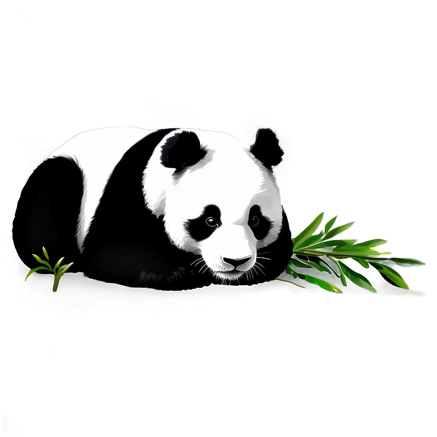 Black And White Panda Png 05062024 PNG Image