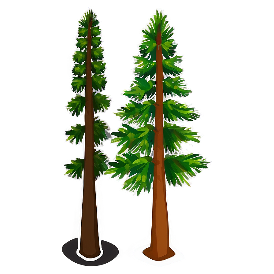 Black And White Pine Trees Png Eql69 PNG Image