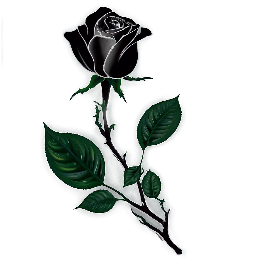 Black And White Rose Art Png Pnj PNG Image