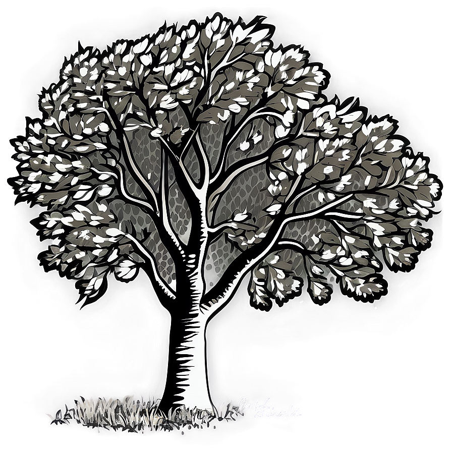 Black And White Tree In Autumn Scene Png Pcm34 PNG Image