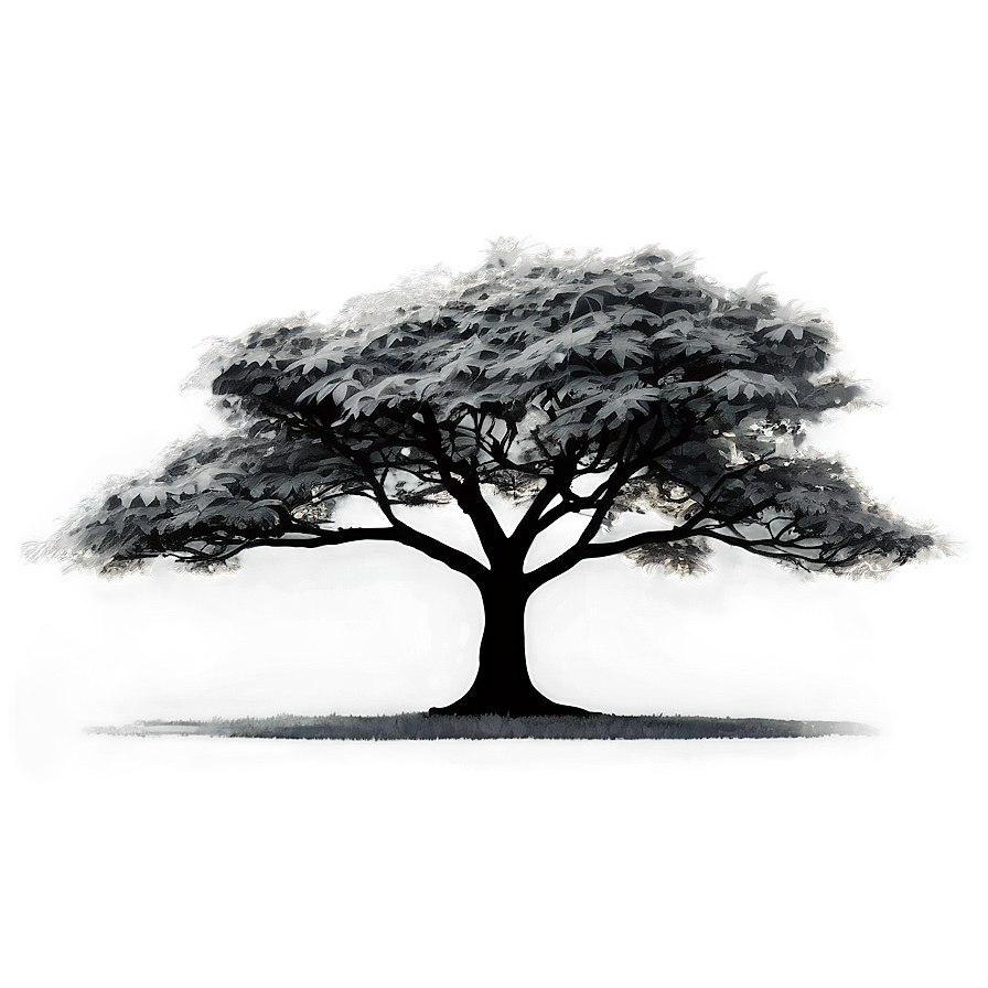 Black And White Tree In Urban Landscape Png Bot79 PNG Image