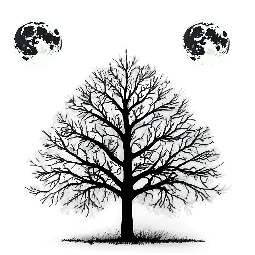 Black And White Tree With Full Moon Png 35 PNG Image