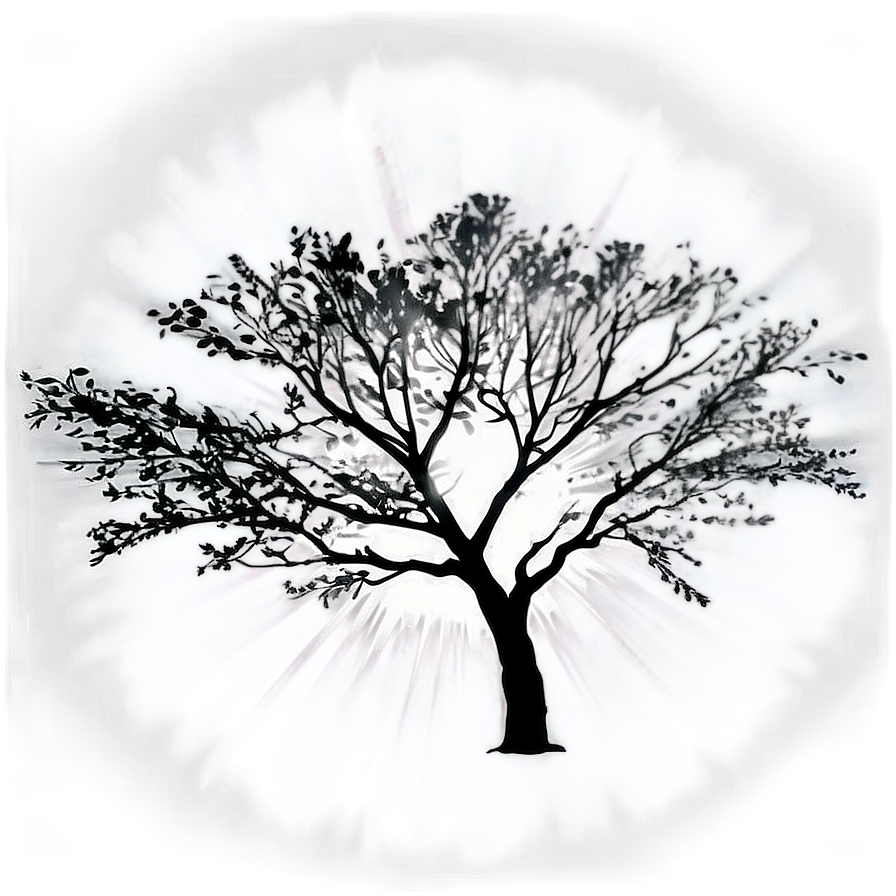 Black And White Tree With Sun Rays Png Ctg86 PNG Image
