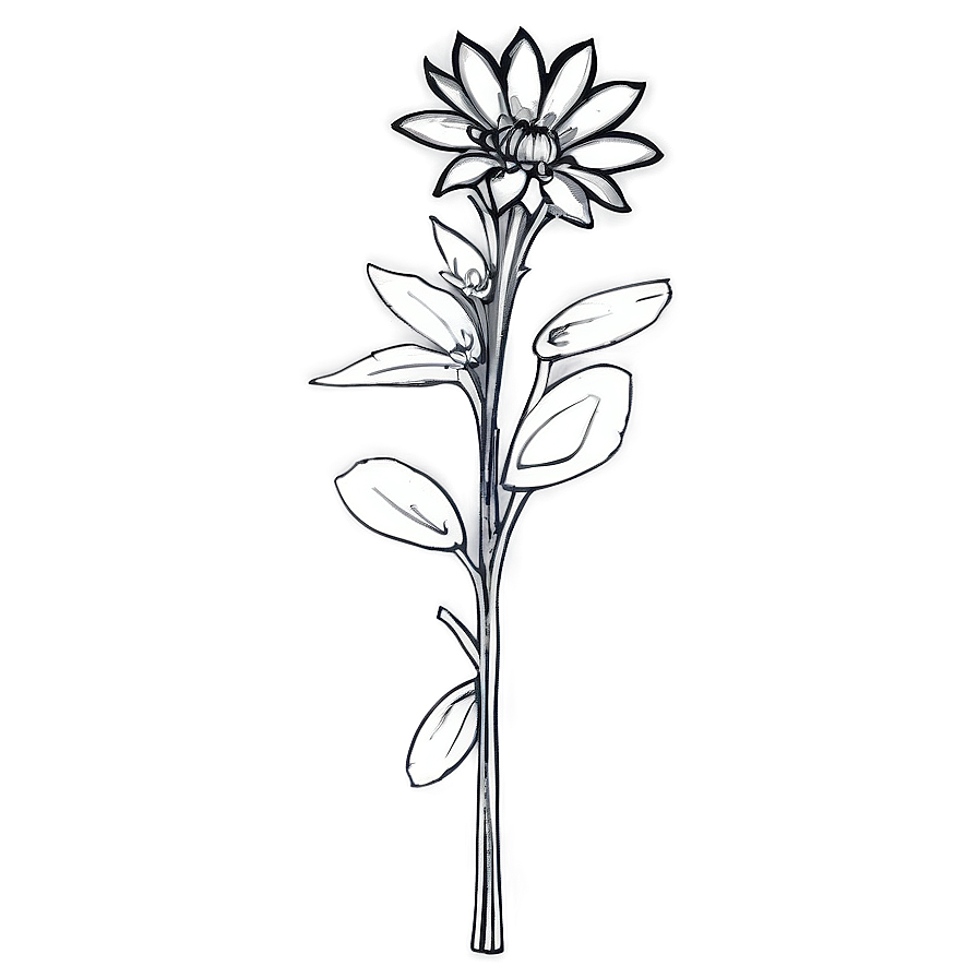 Black And White Wildflowers Png Wgy36 PNG Image