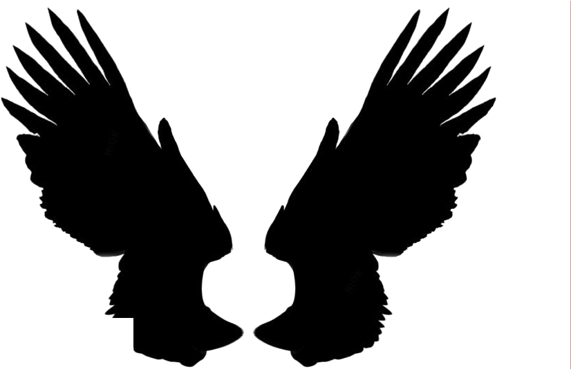 Black Angel Wings Silhouette PNG Image