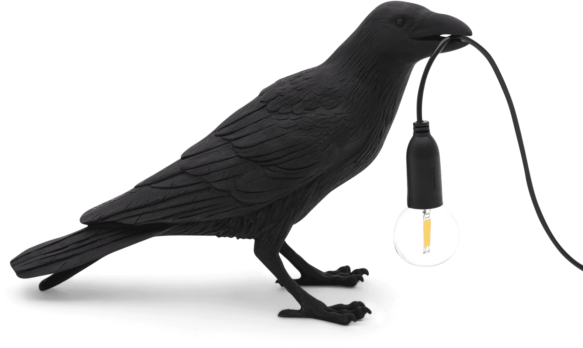 Black Bird Holding Light Bulb PNG Image