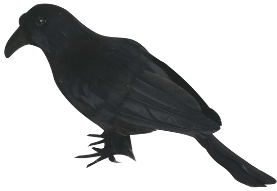 Black Bird Silhouette PNG Image