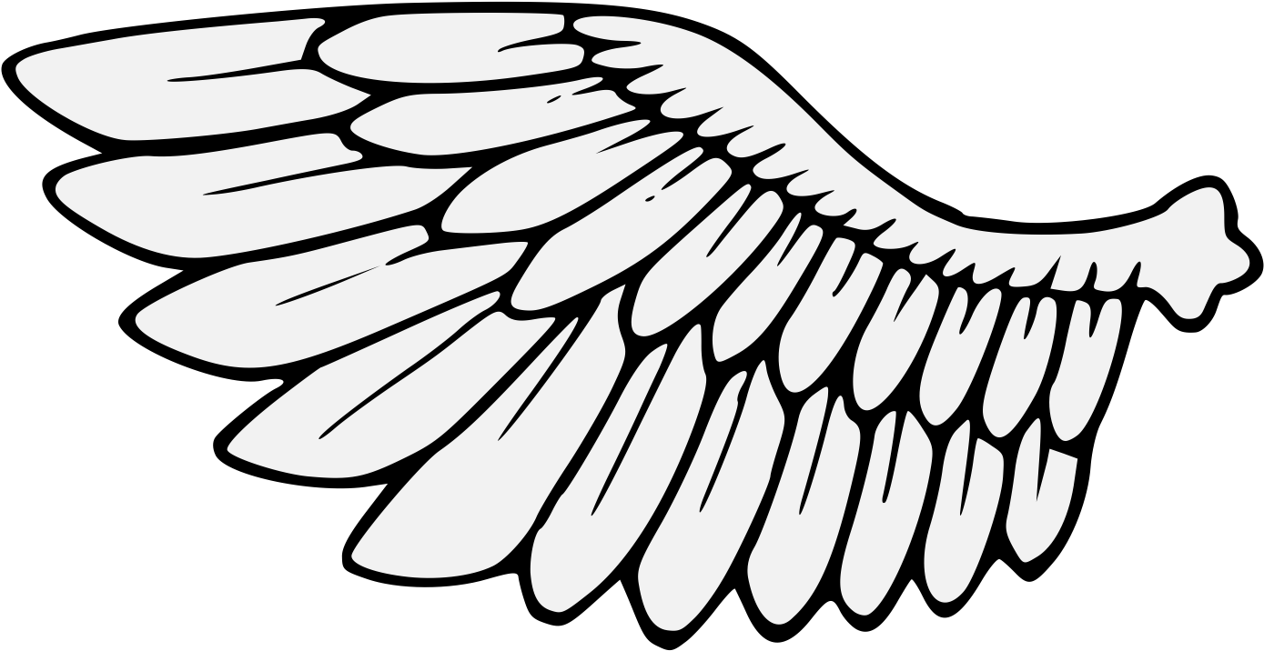 Black Bird Wing Illustration PNG Image