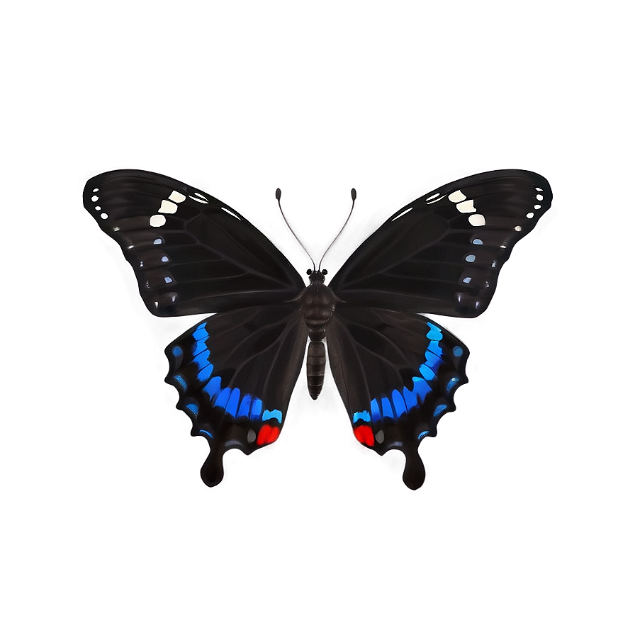 Black Butterfly D PNG Image