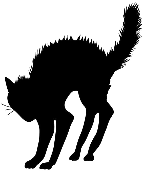 Black Cat Arched Back Silhouette PNG Image