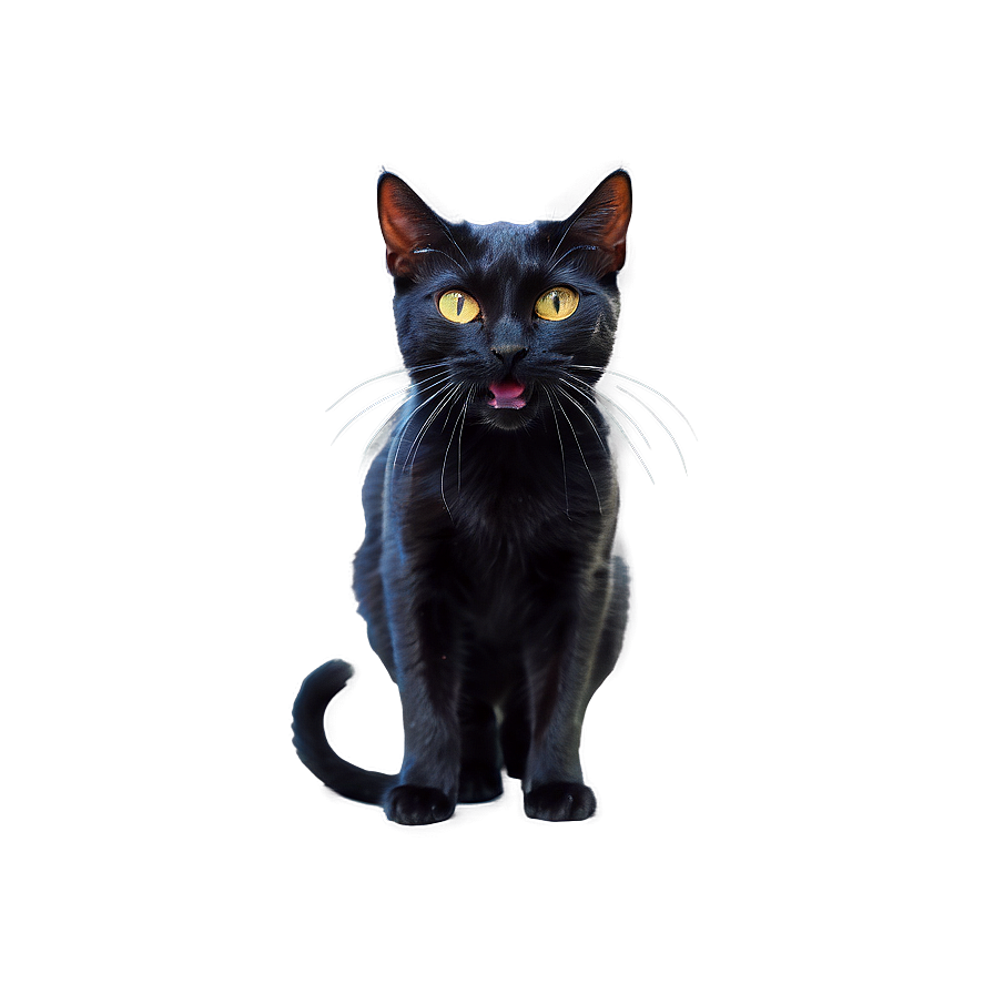 Black Cat Hissing Png 7 PNG Image