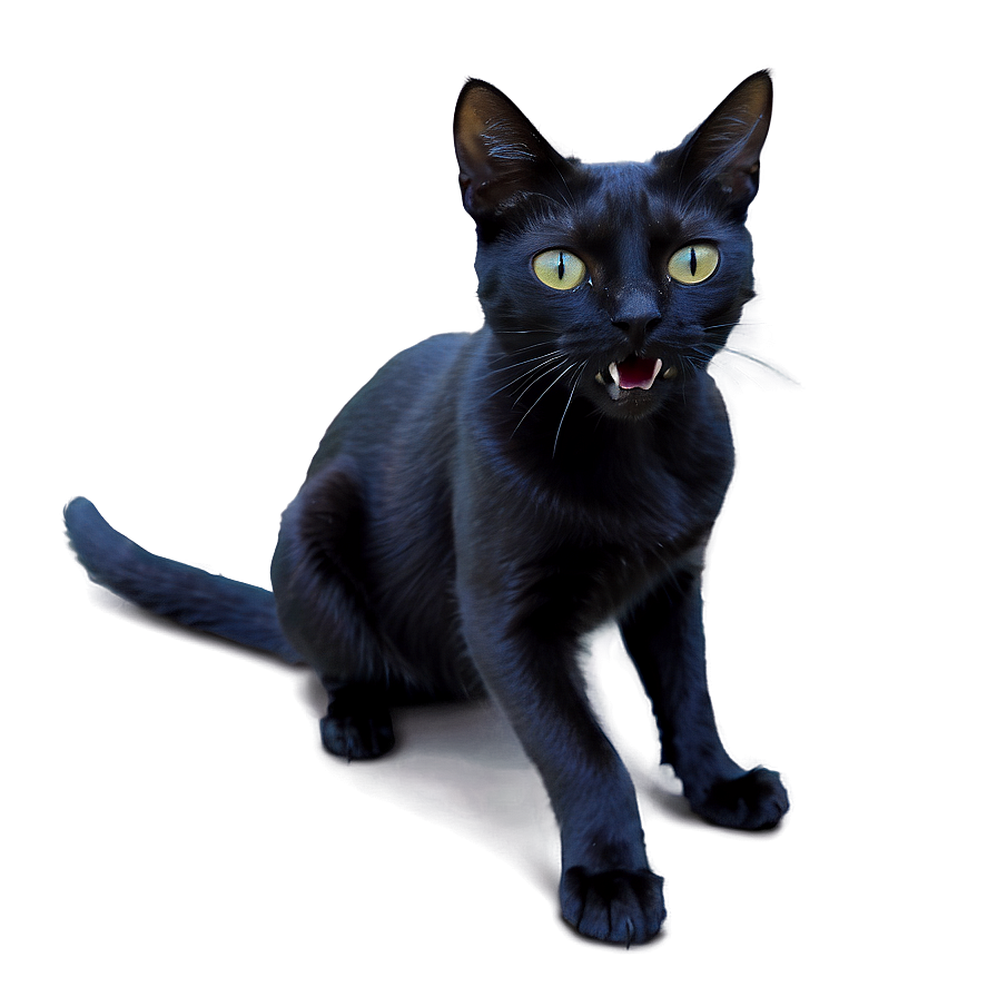 Black Cat Hissing Png Nra PNG Image