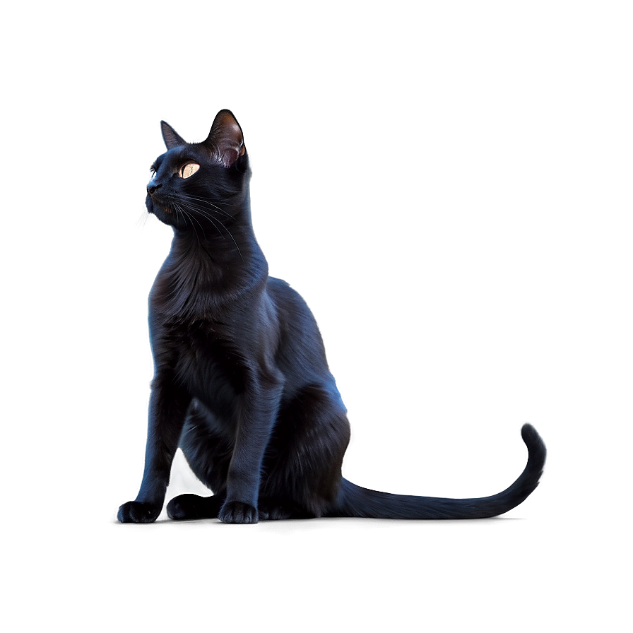 Black Cat Profile Png Hnt PNG Image