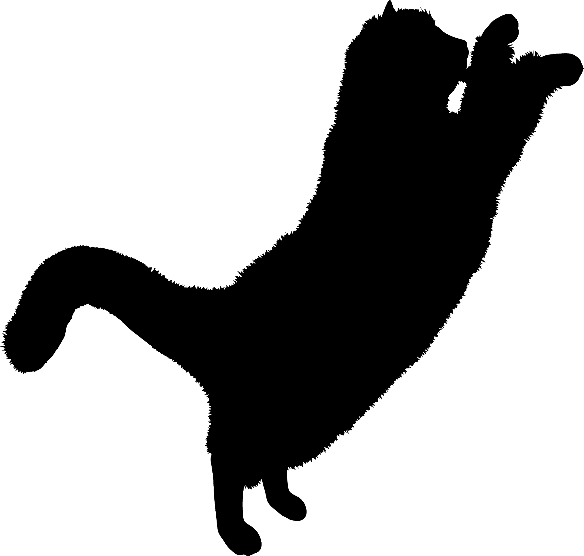 Black Cat Silhouette Jumping PNG Image