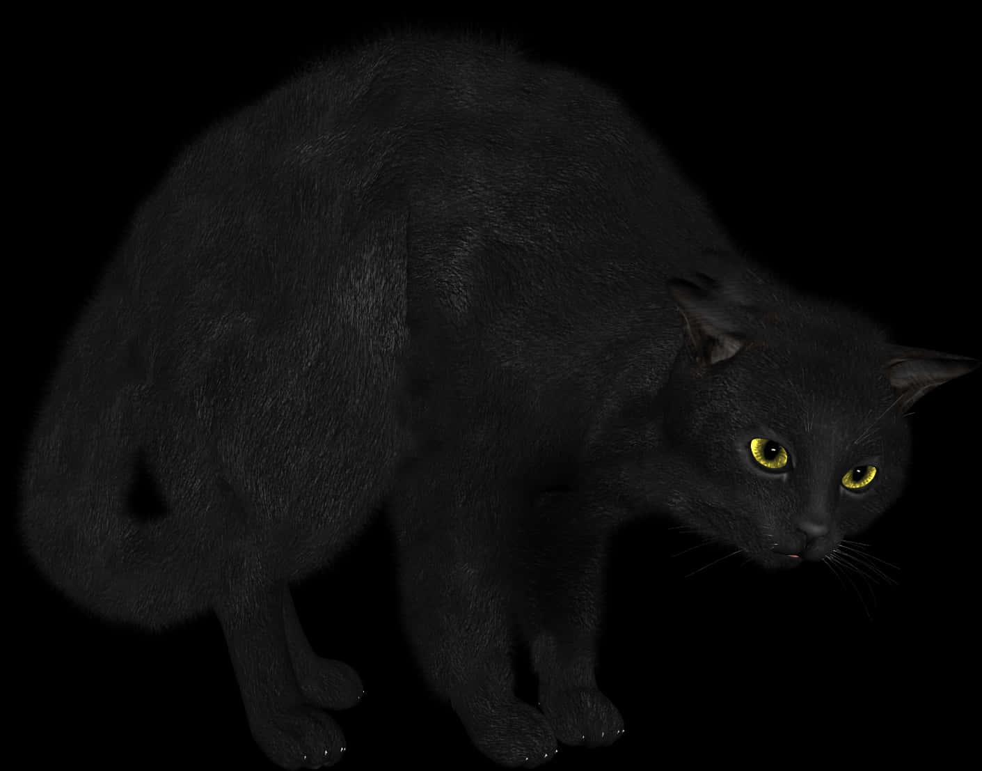 Black Cat Yellow Eyes PNG Image