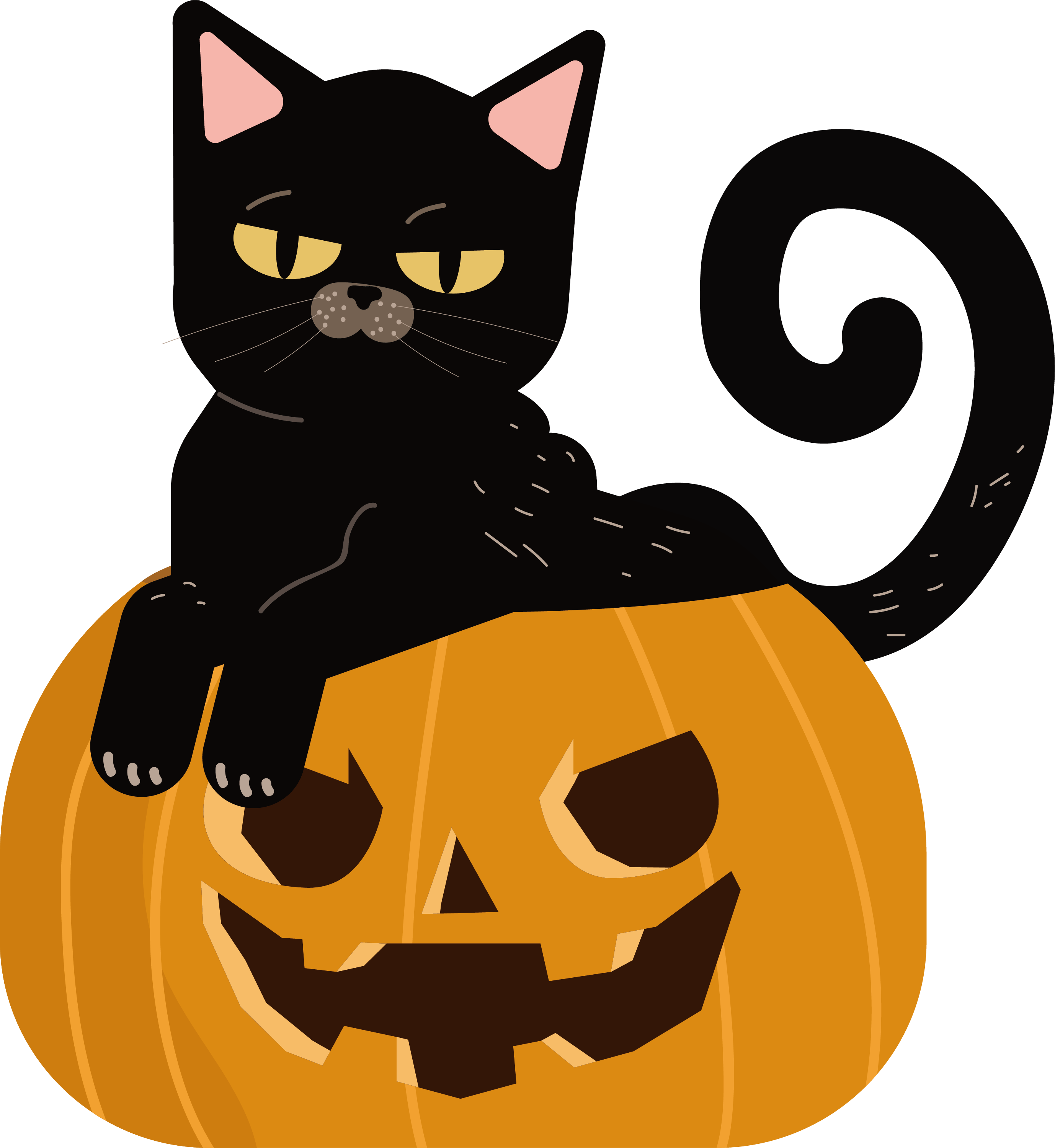 Black Caton Jack O Lantern Halloween PNG Image