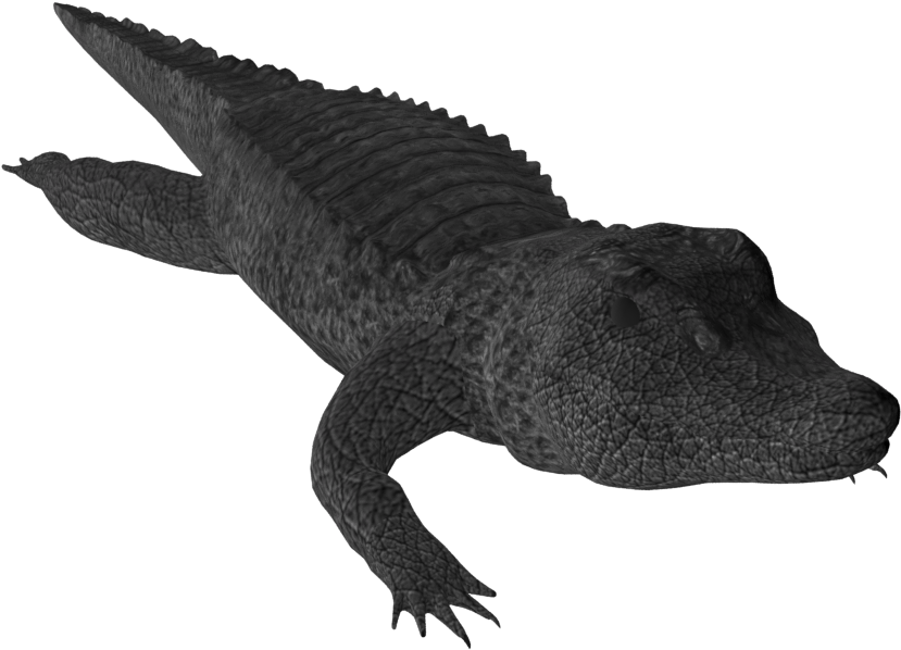 Black Crocodile Graphic PNG Image