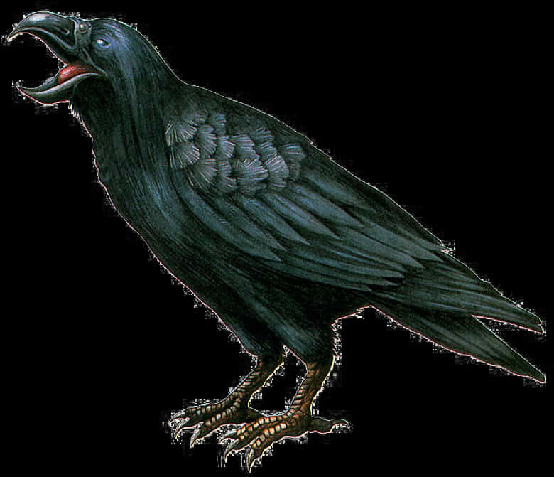 Black Crow Cawing PNG Image