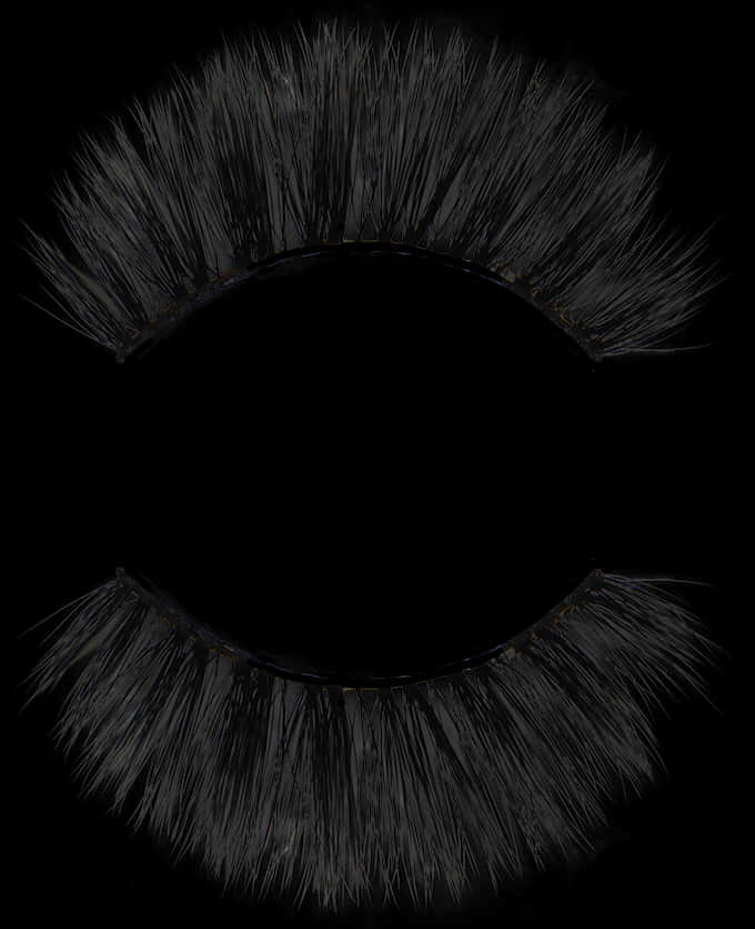 Black_ False_ Eyelashes_ Closeup PNG Image