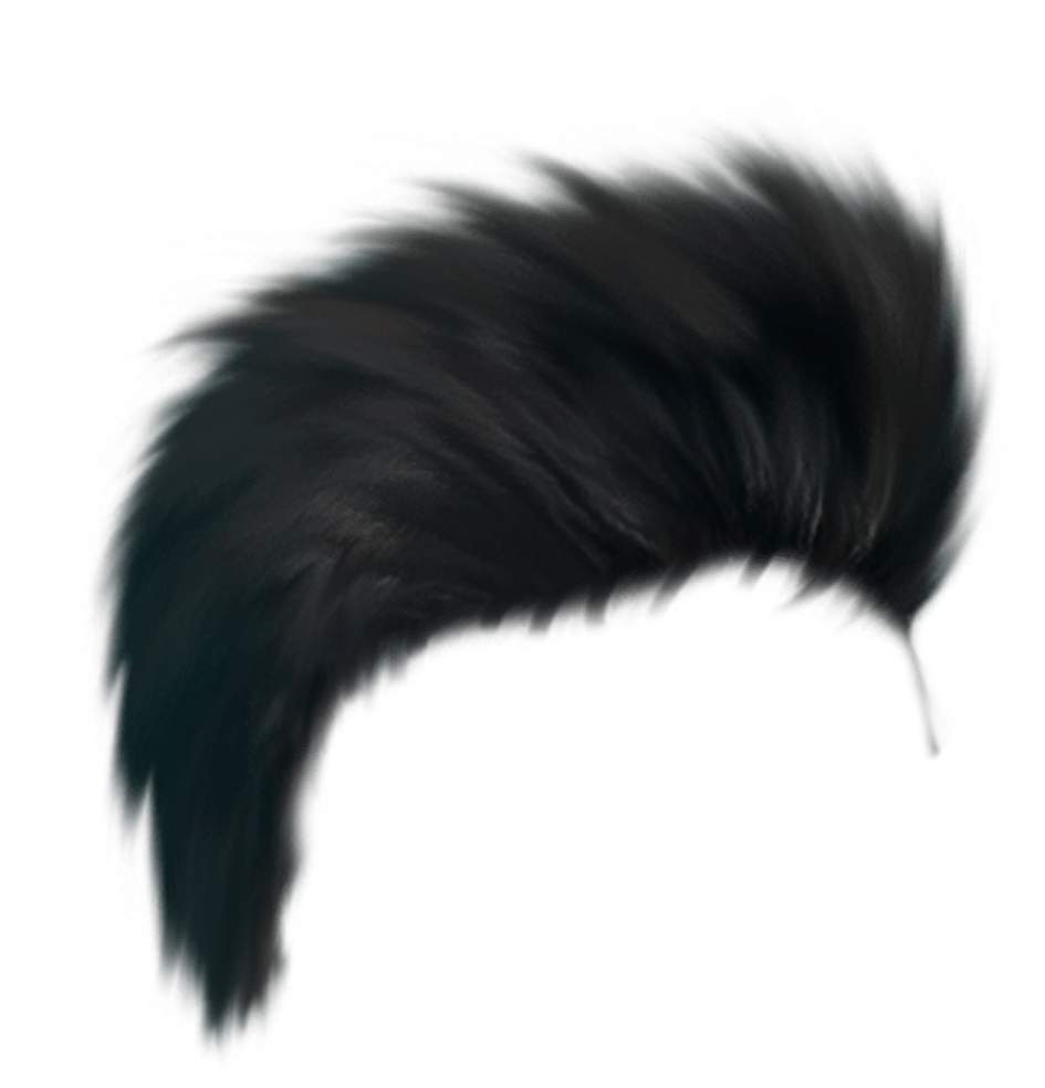 Black Feather Illustration PNG Image