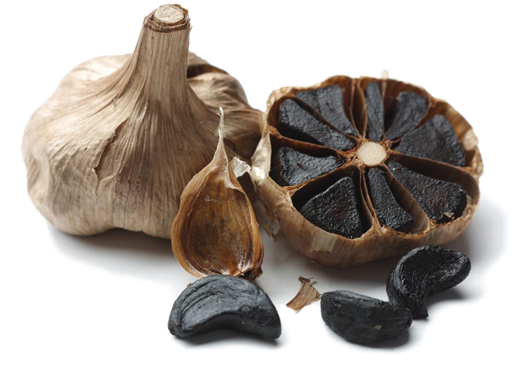 Black Garlic Still Life PNG Image