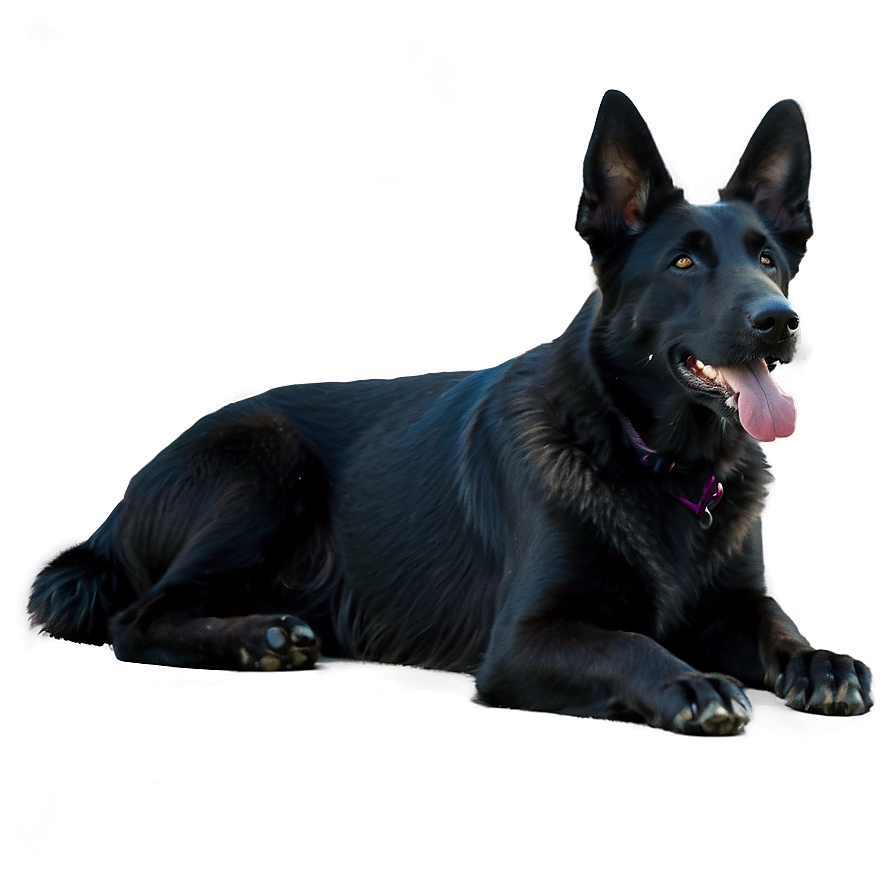 Black German Shepherd Png Ldt5 PNG Image