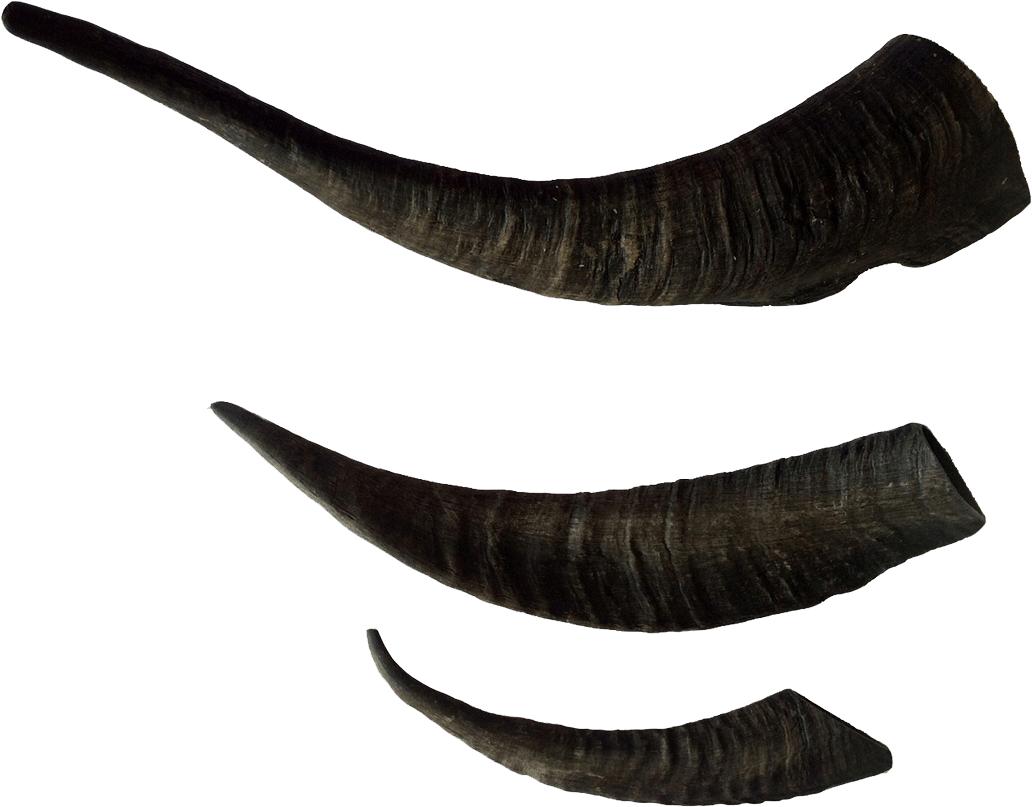 Black Goat Horns Set PNG Image