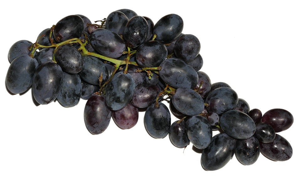 Black Grapes Cluster.png PNG Image